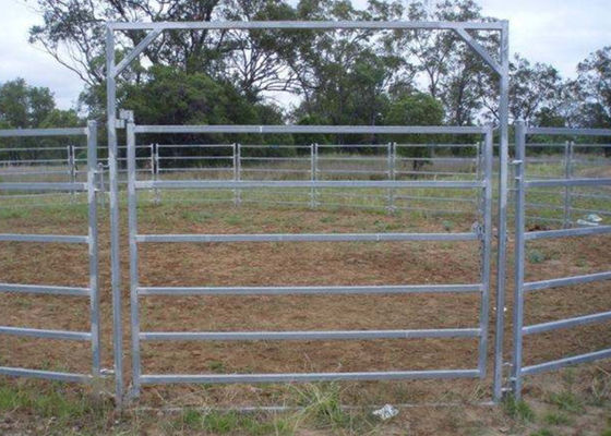 El ganado de acero del carril del estándar 6 de Australia cerca los paneles ovales de la cerca del ganado del metal del carril 40x80